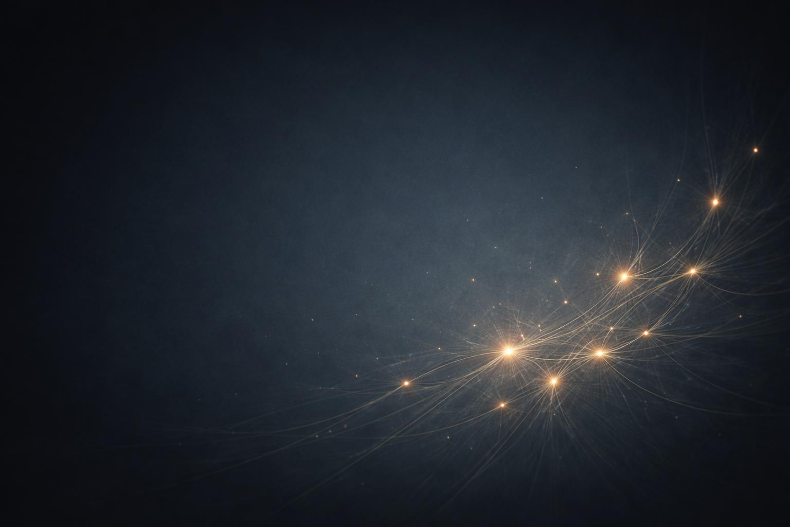 Bireysel koçluk ve gelişim